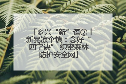 乡兴“新”语②丨新晃凉伞镇：念好“四字诀” 织密森林防护安全网